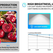 Selecting the Right Color Rendering Index (CRI) for Your Lighting Needs: A Practical Guide - okeli lights