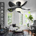 Ceiling Fan with Lights